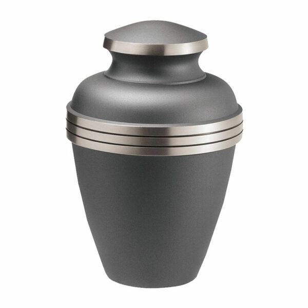 Ashen Pewter - Fullsize