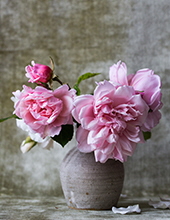 joanne bricker