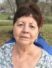 vivian garcia