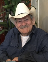 willie schulz