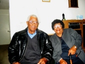viola searcy