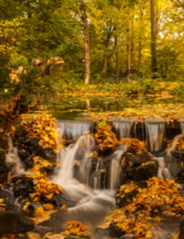 guadalupe vasquez iii.