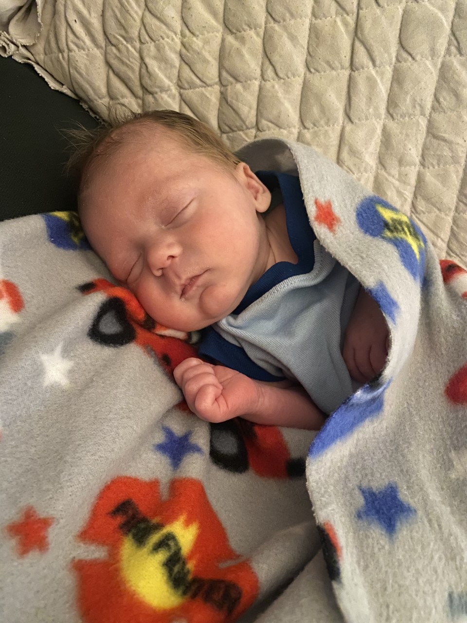 hudson palmer