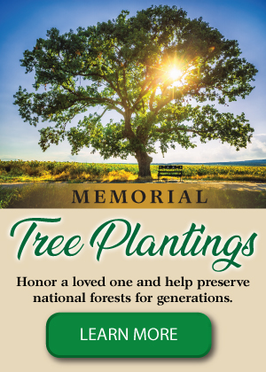 Memorial Tree Planting