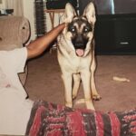 lawless thomas Gallery