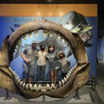 cody stevens Gallery