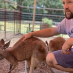 cody stevens Gallery