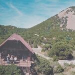 lonnie haller Gallery