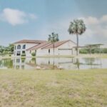 lonnie haller Gallery