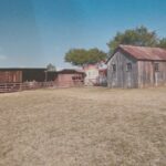 lonnie haller Gallery