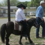 lonnie haller Gallery