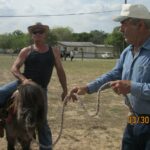 lonnie haller Gallery