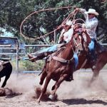 clinton green Gallery