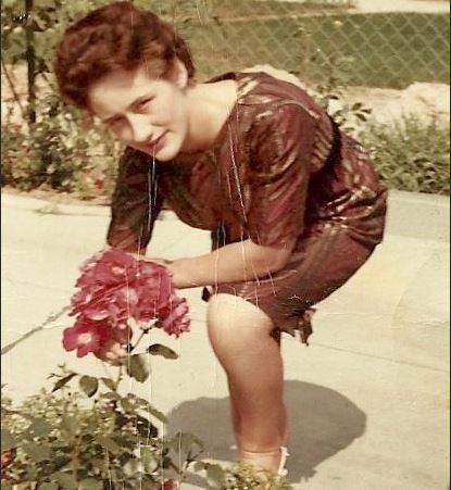 maria schaefer