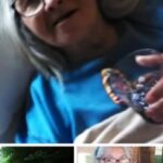 dorothea chavez Gallery