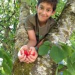 ethan carranza Gallery