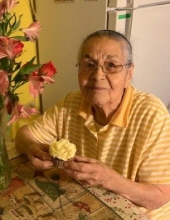 jovita  castillo