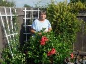 shirl dillow