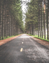 mark raskin